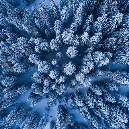 Haus Petergstamm * Obertauern