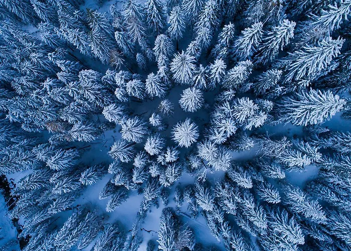 Haus Petergstamm * Obertauern